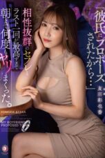 DLDSS 249
